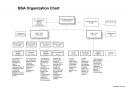 2008 BSA Organizational Chart after changes