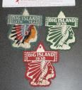 Camp Big Island camp patches circa 1938 Anthony Wayne Area Council Fort Wayne, IN